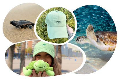 Turtle Adoption Cap