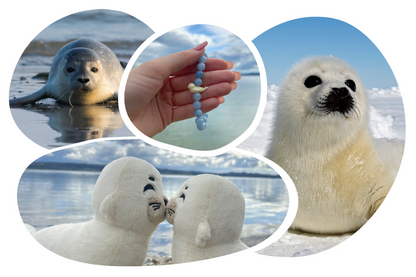 Seal Plushie