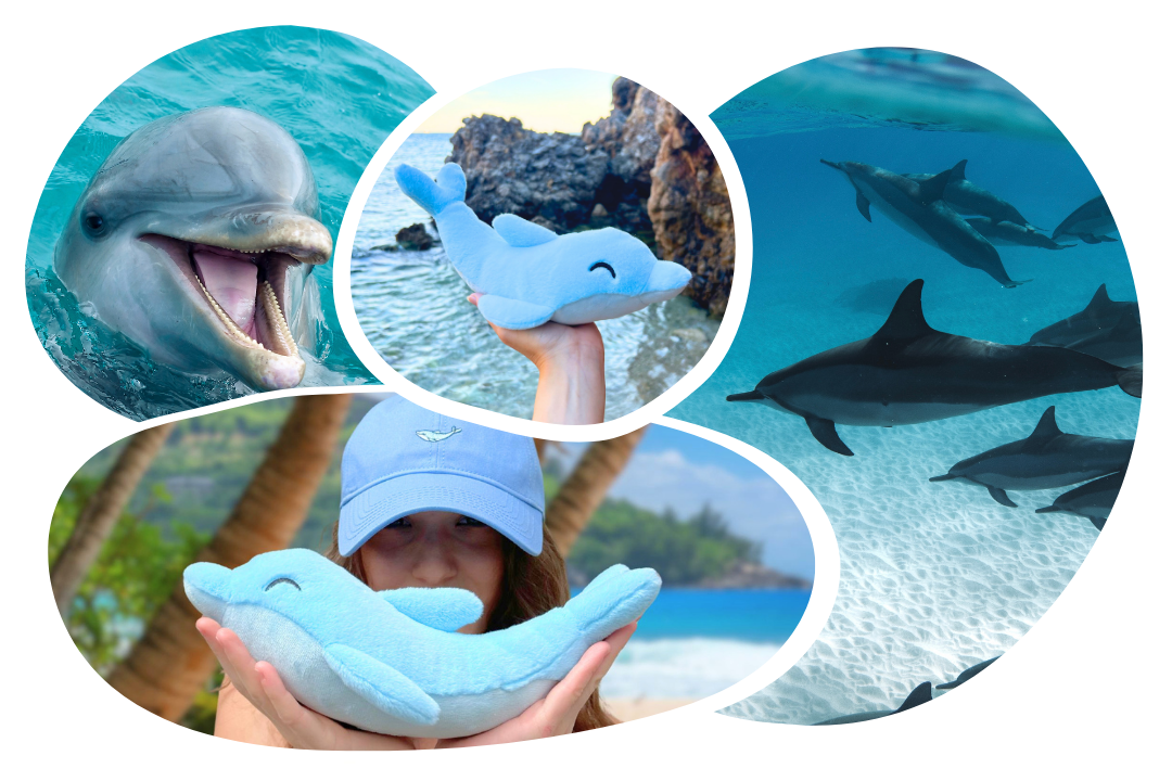 Dolphin Plushie