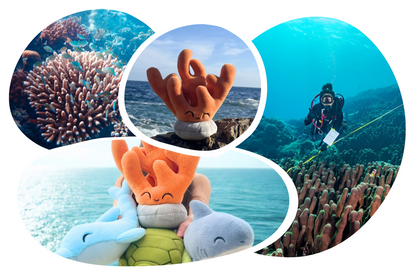 Coral Adoption Plushie