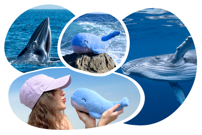 Whale Plushie
