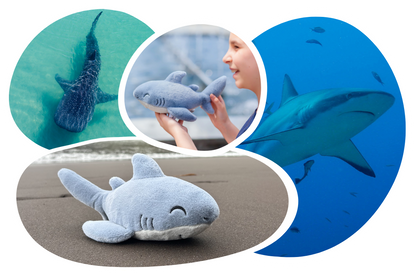 Shark Plushie