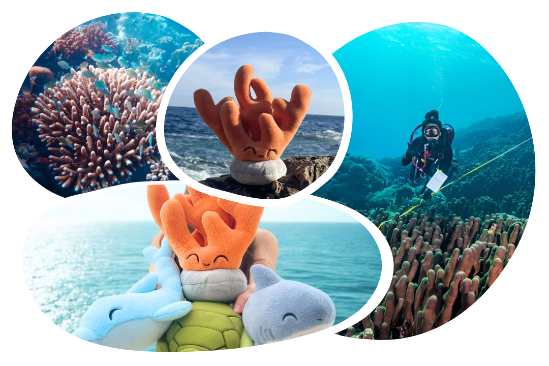 Coral Plushie
