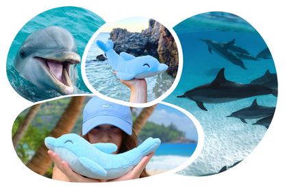 Dolphin Adoption Cap