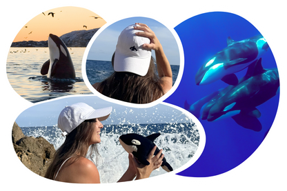 Orca Adoption Cap