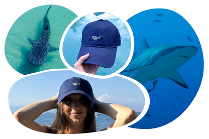 Shark Adoption Cap