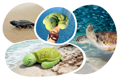 Turtle Adoption Plushie