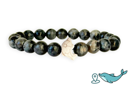 Dolphin Tracking Bracelet
