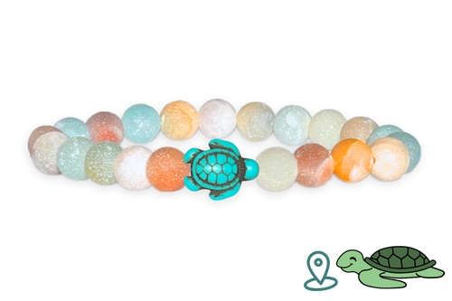 Turtle Tracking Bracelet