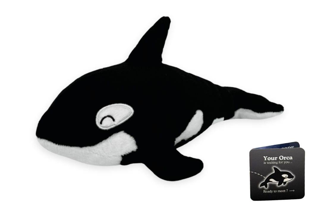 Orca Plushie